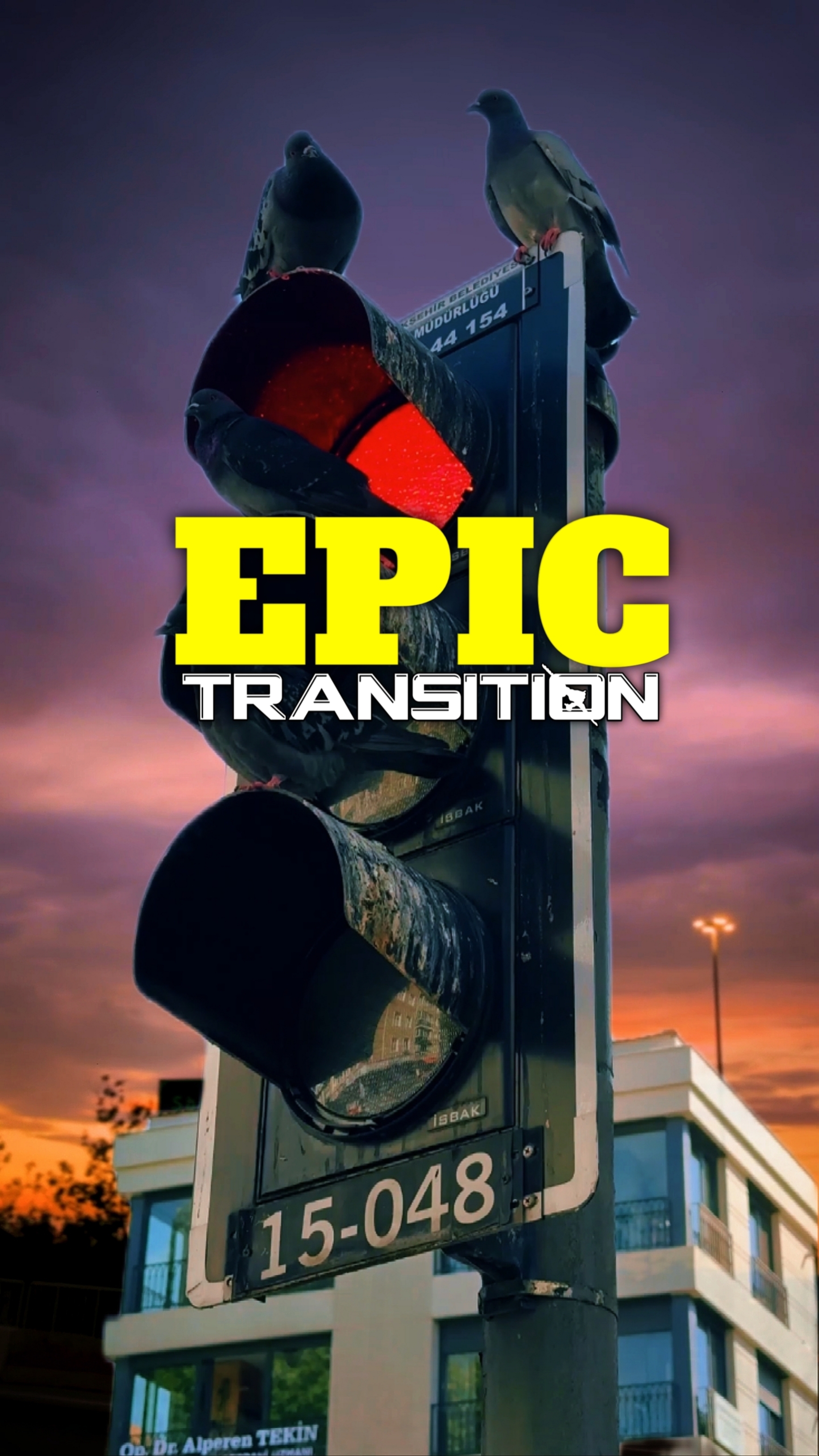 EPIC TRANSITION 
