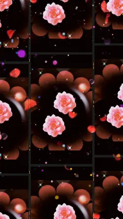 Gallery Music Video 