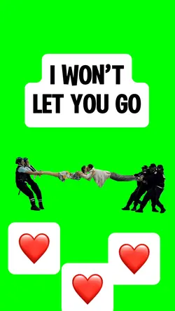 I WON’T LET YOU GO