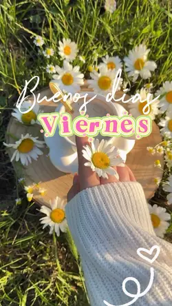 Buenos días 