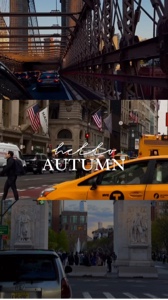 Bonjour l'automne