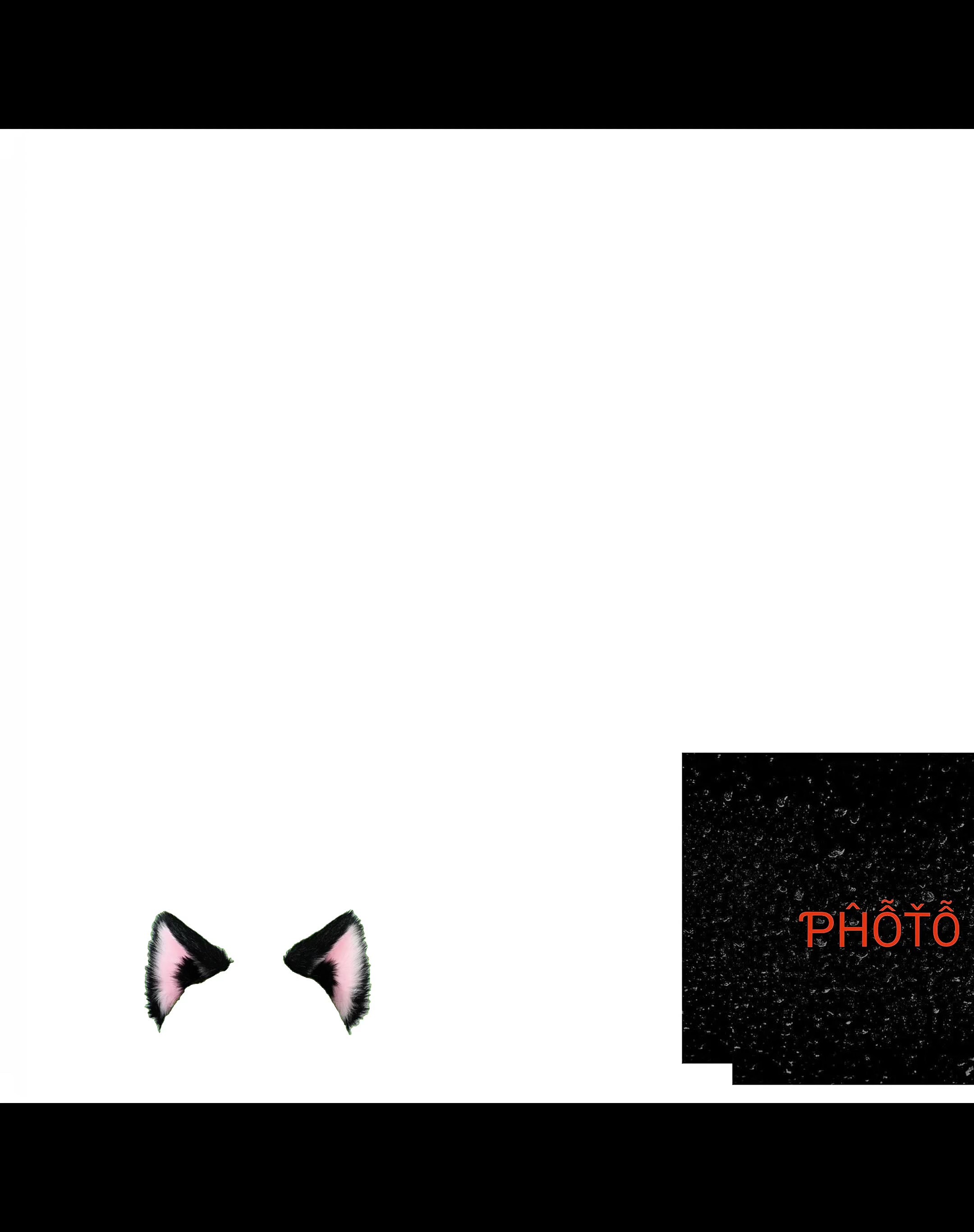 hccvbvvgv