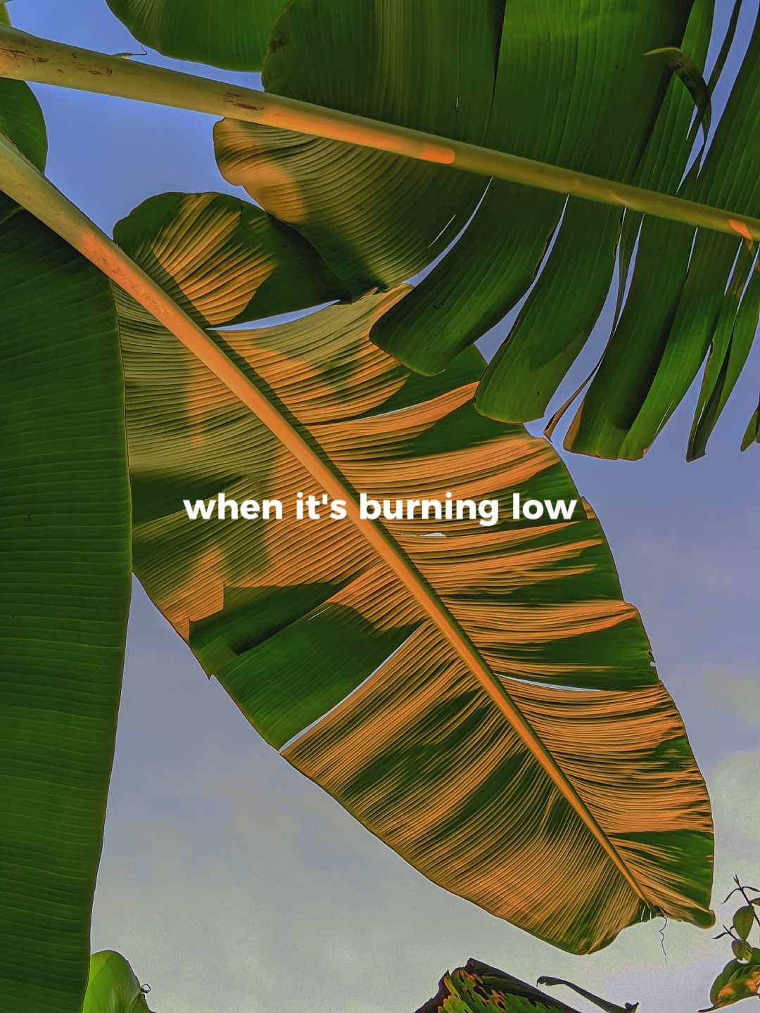 let her go