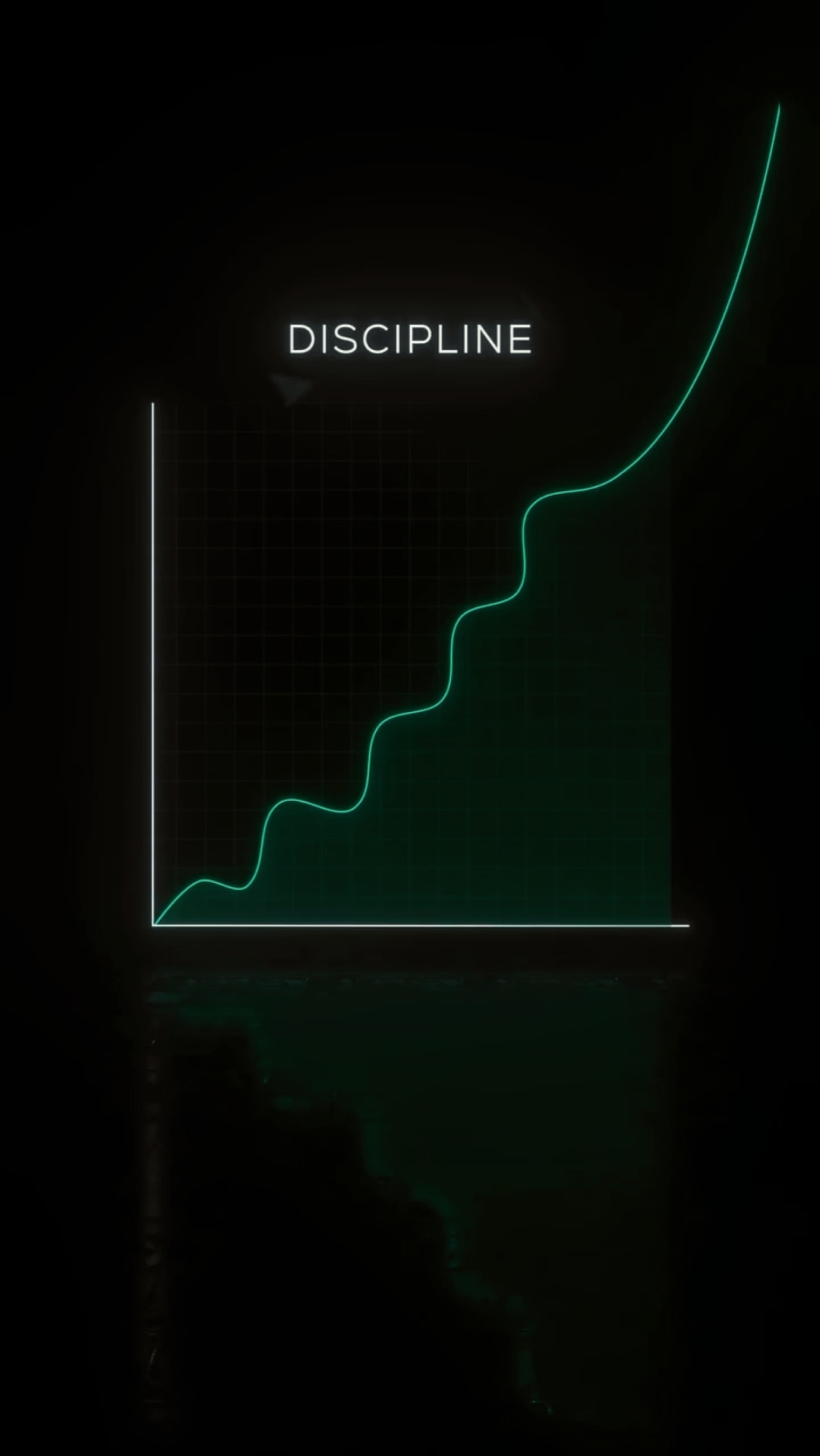 Disciplina
