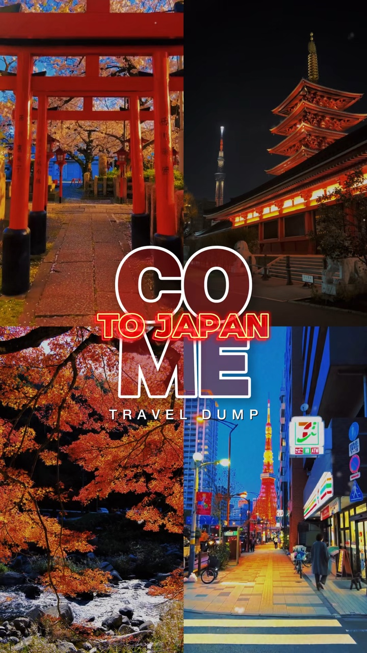 일본 덤프로 오세요