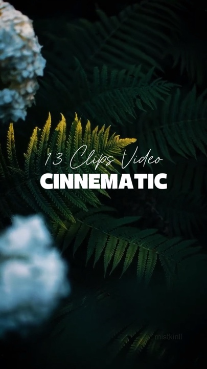 13 Video Sinematik 