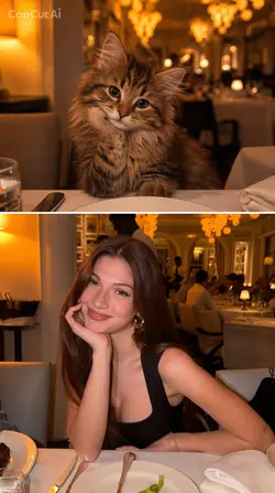 Meme of the yea