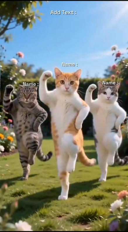 Tendência De Gato De Dança