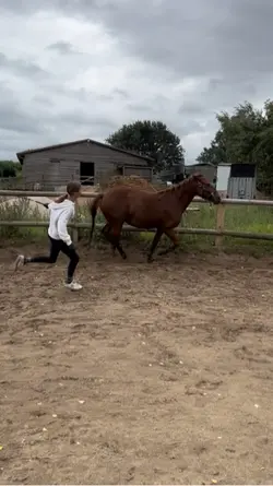 FASTTT PONAYYY😼💓