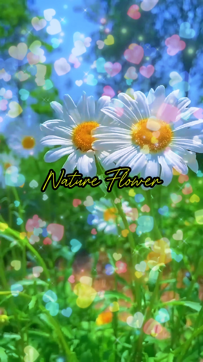 Nature Flower