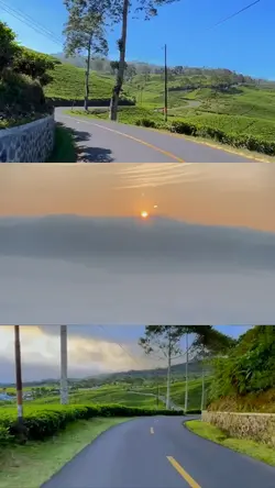 Layout 3 video