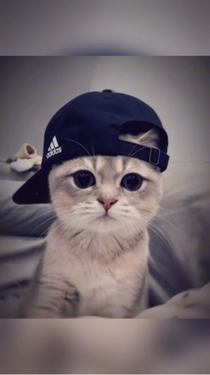 쿠브 티비 