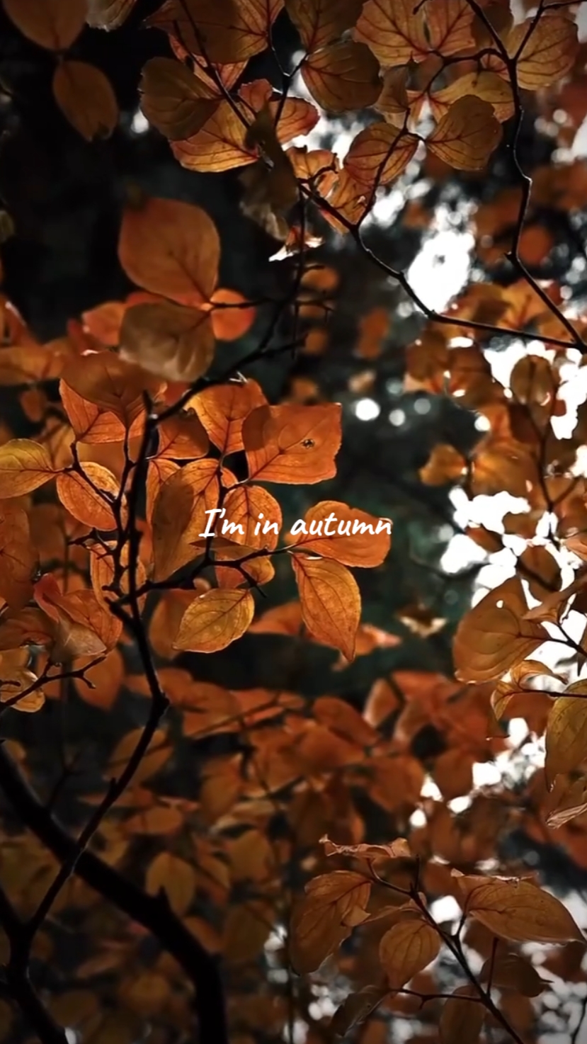 i'm in autumn