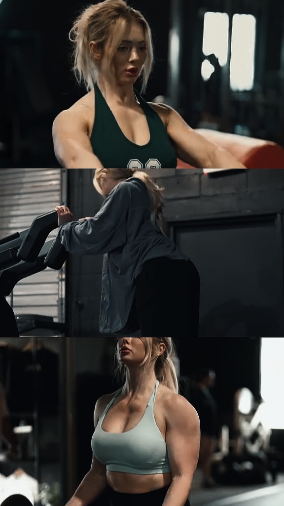 Gimnasio profesional 13clip