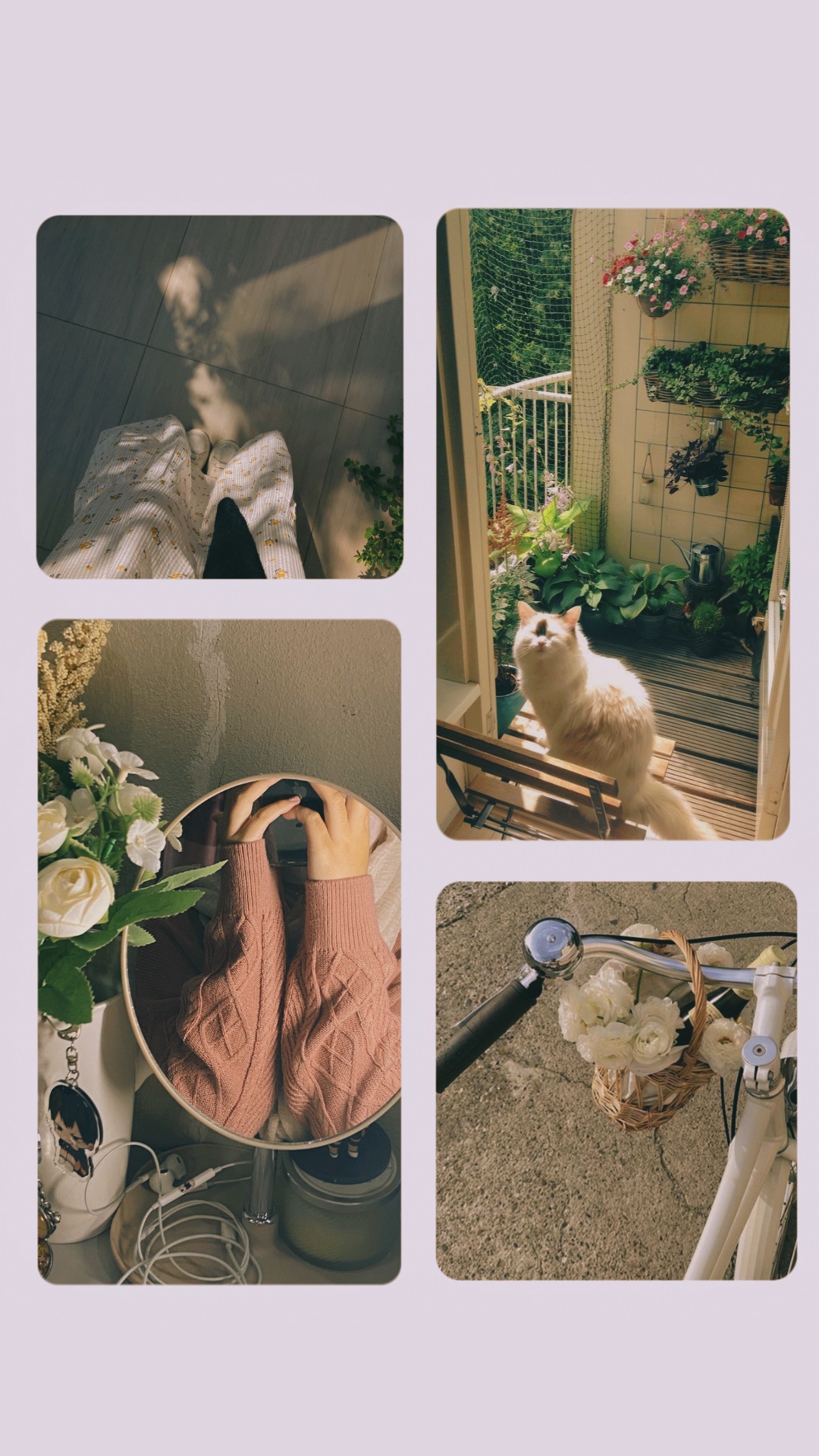 Frame 4 foto