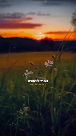 สวัสดีธันวาคม