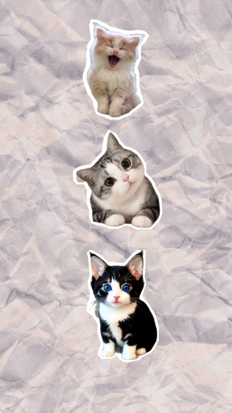 Modelo De Gato 