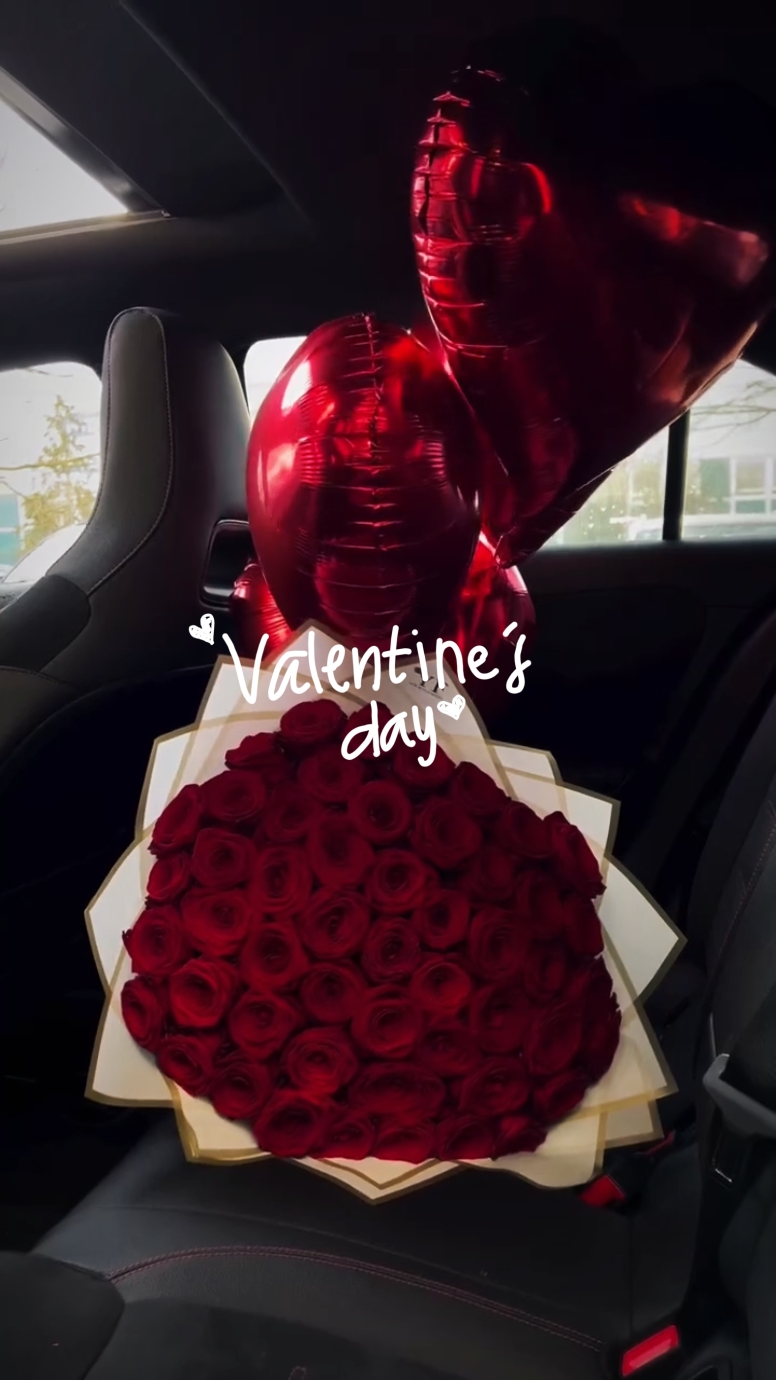 valentine vlog