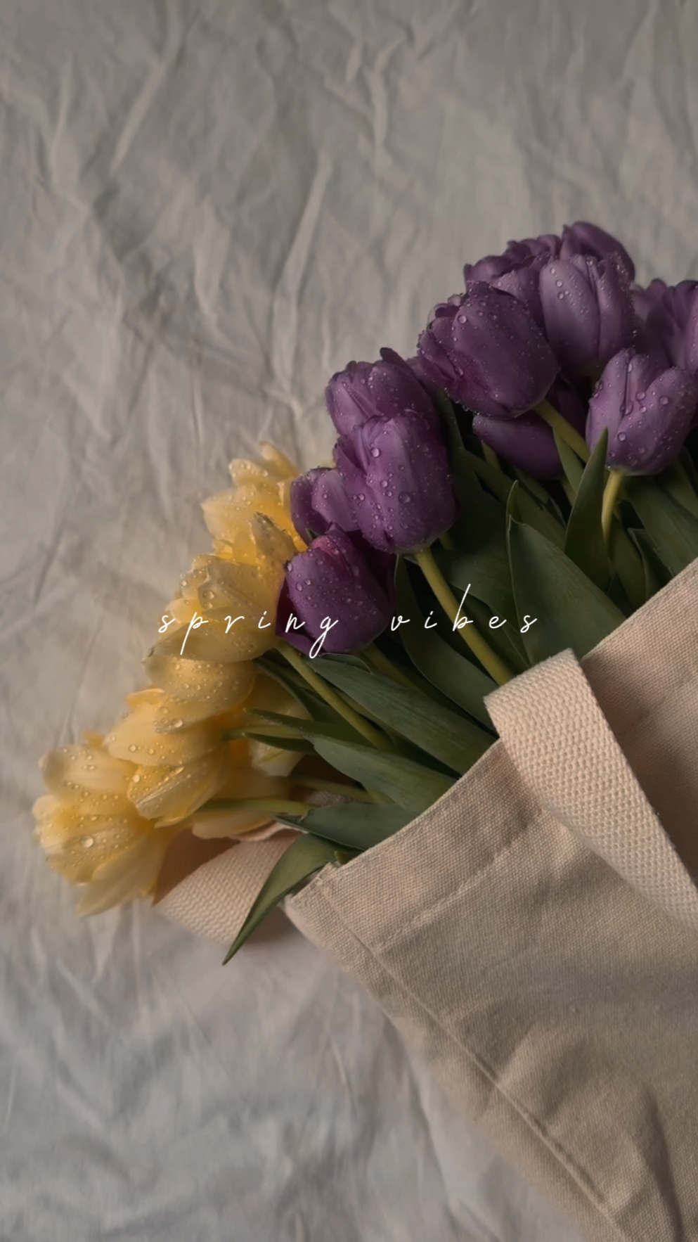 Spring Vibes