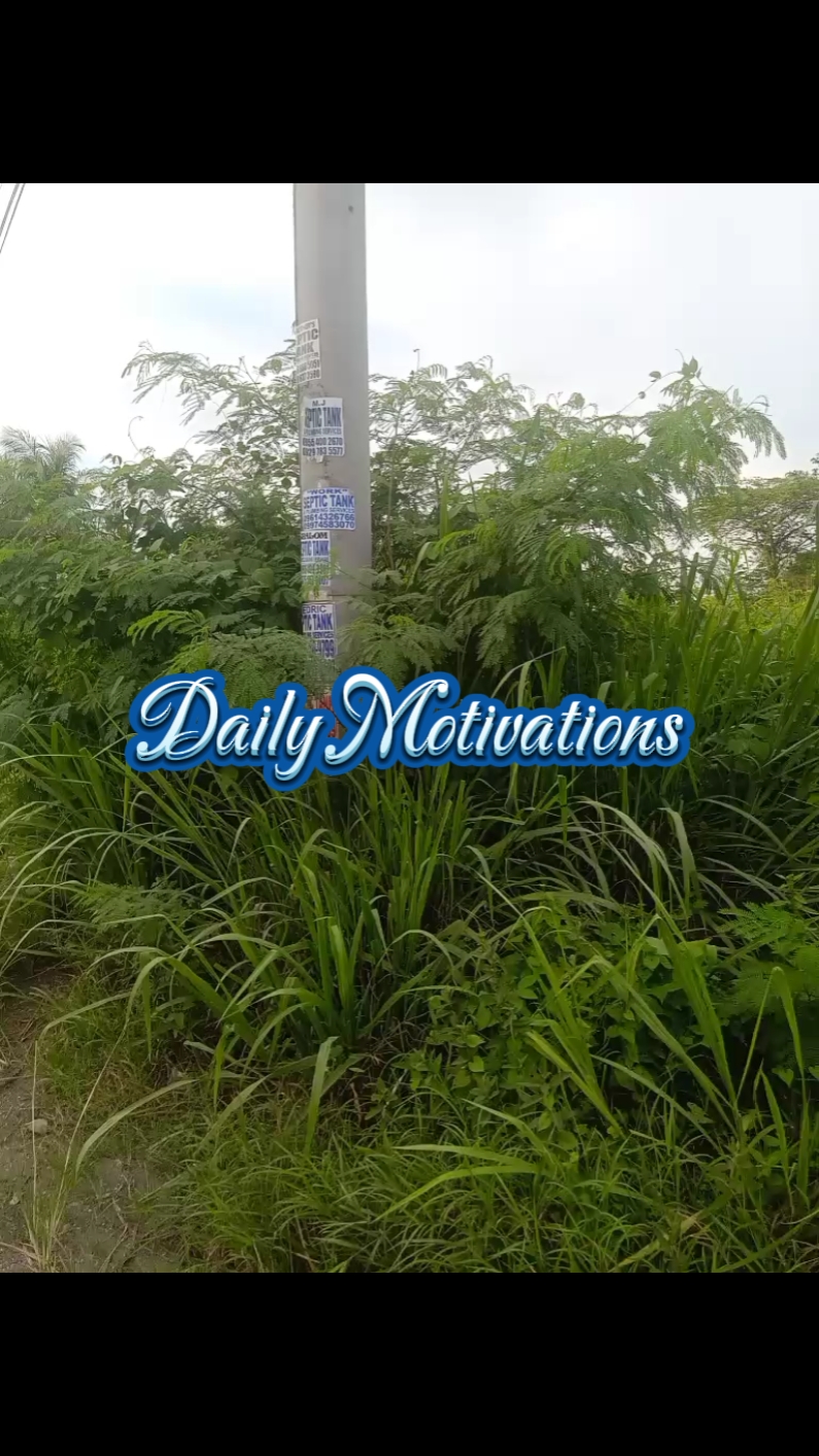Motivações Diárias
