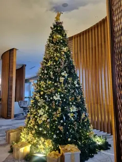 Christmas 