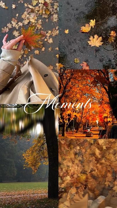 Momentos