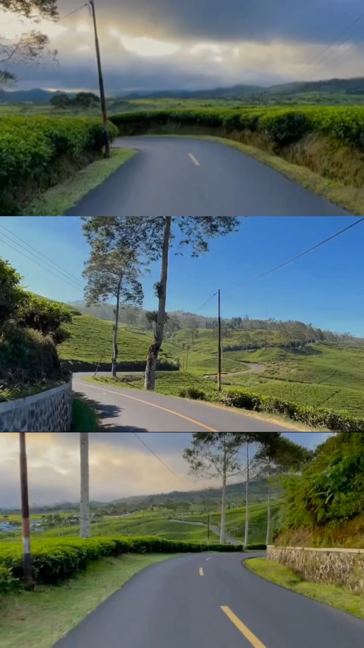 Tata letak 3 video