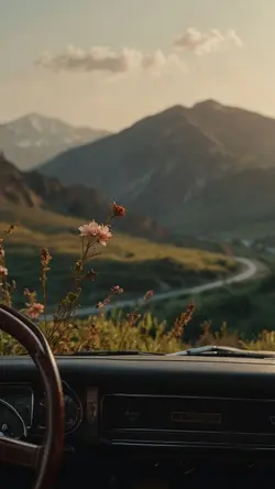 aesthetic