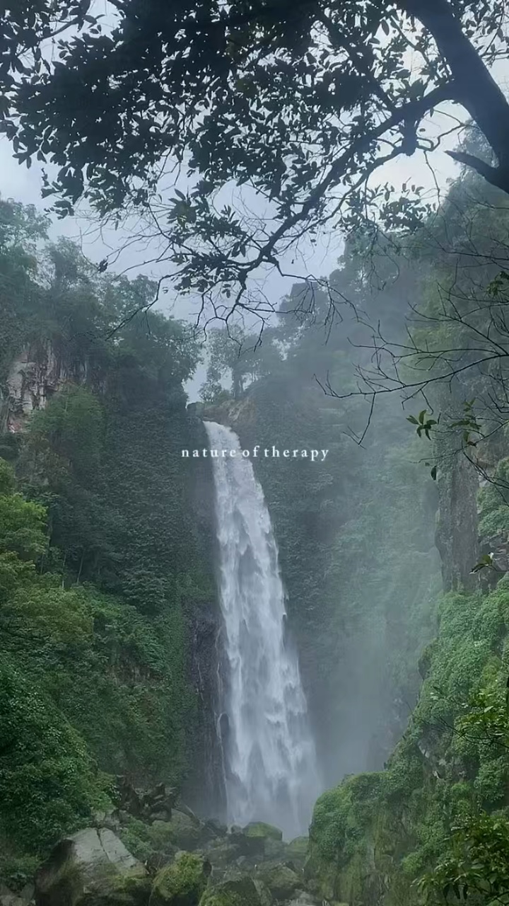 Nature therapy