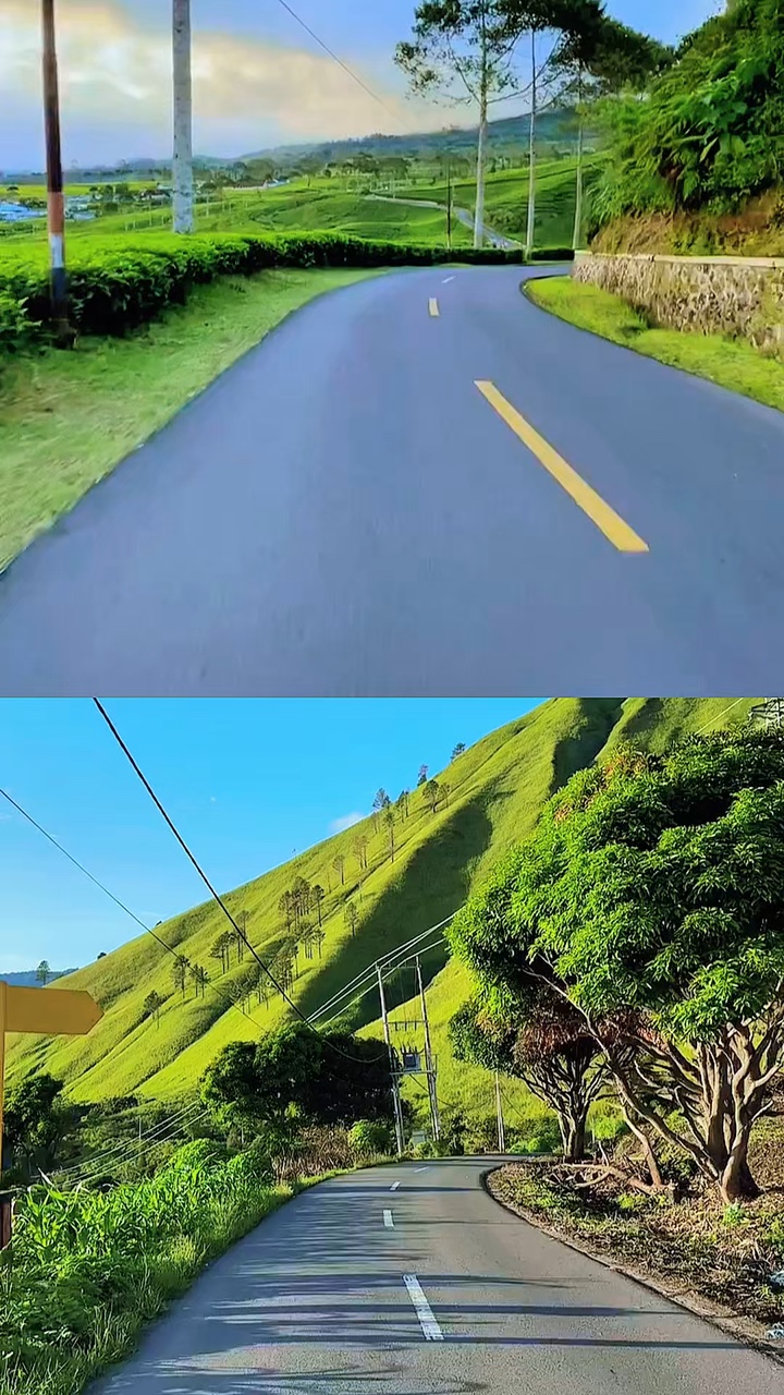 2 video collage