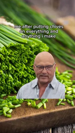 master chef meme 