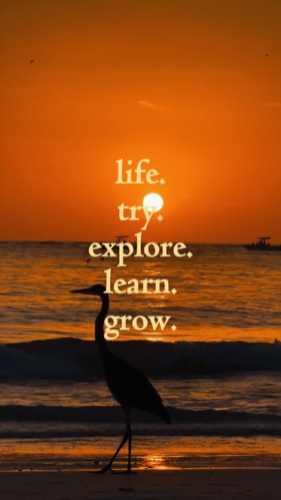la vie essaie d'explorer 