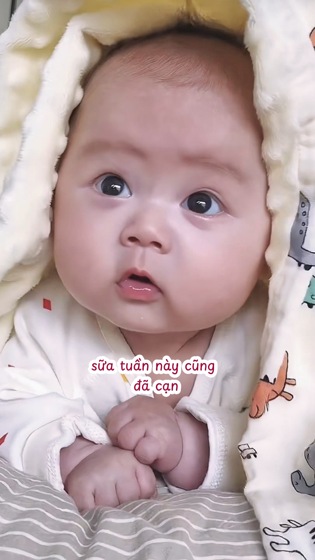 Kính gi b iu 