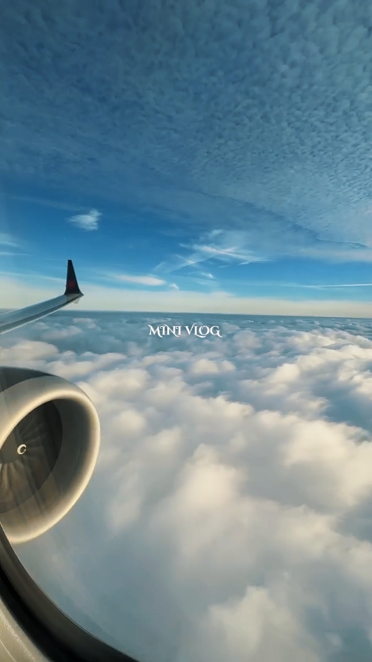 mini vlog 