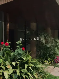 life in march