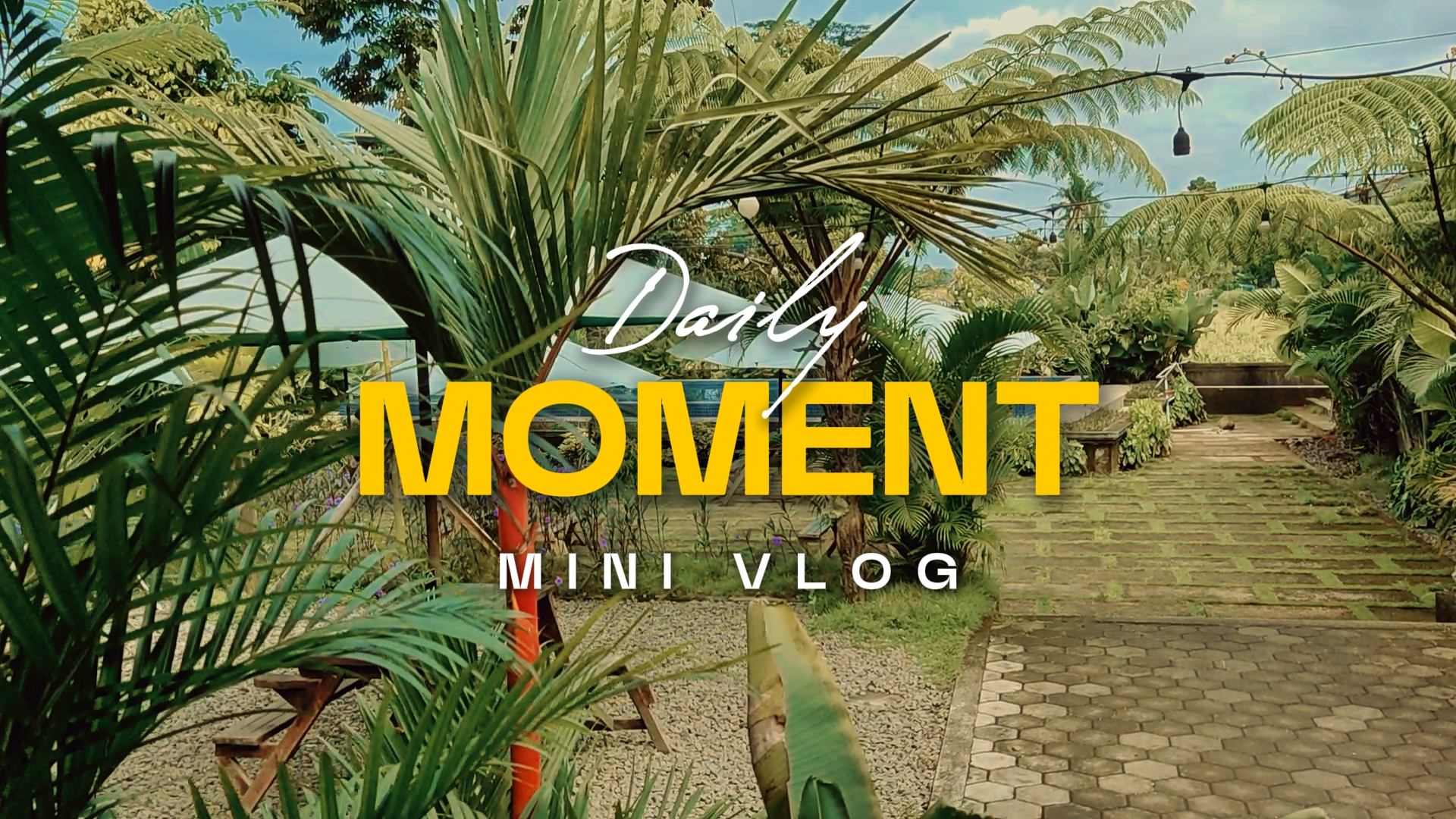 Vlog diário