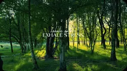 Nature Vibes