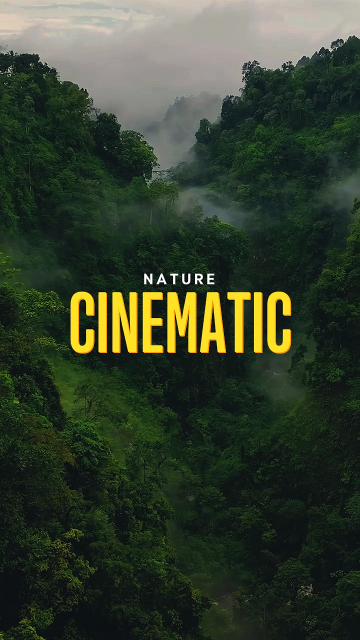 Natur filmisch