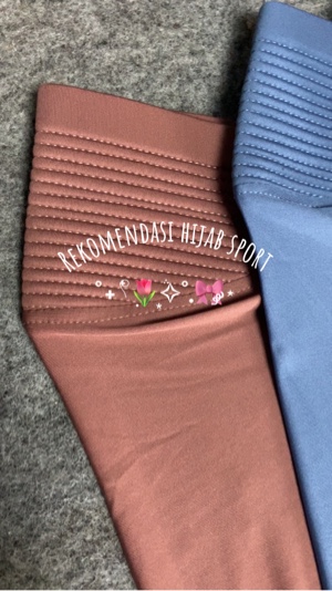Jilbab olahraga hewan peliharaan