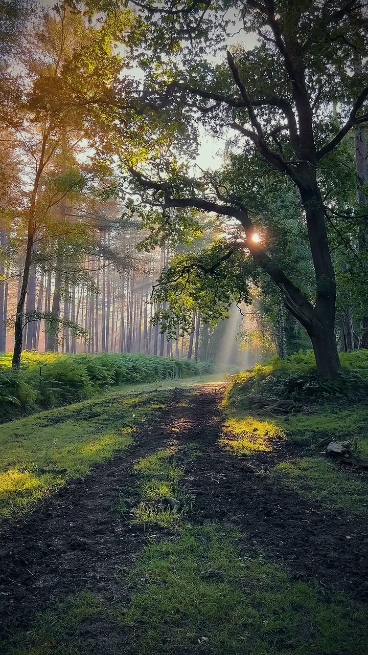 Nature vibes