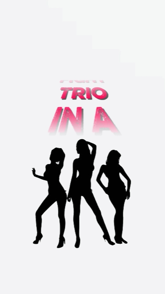 trio dans un combat!.