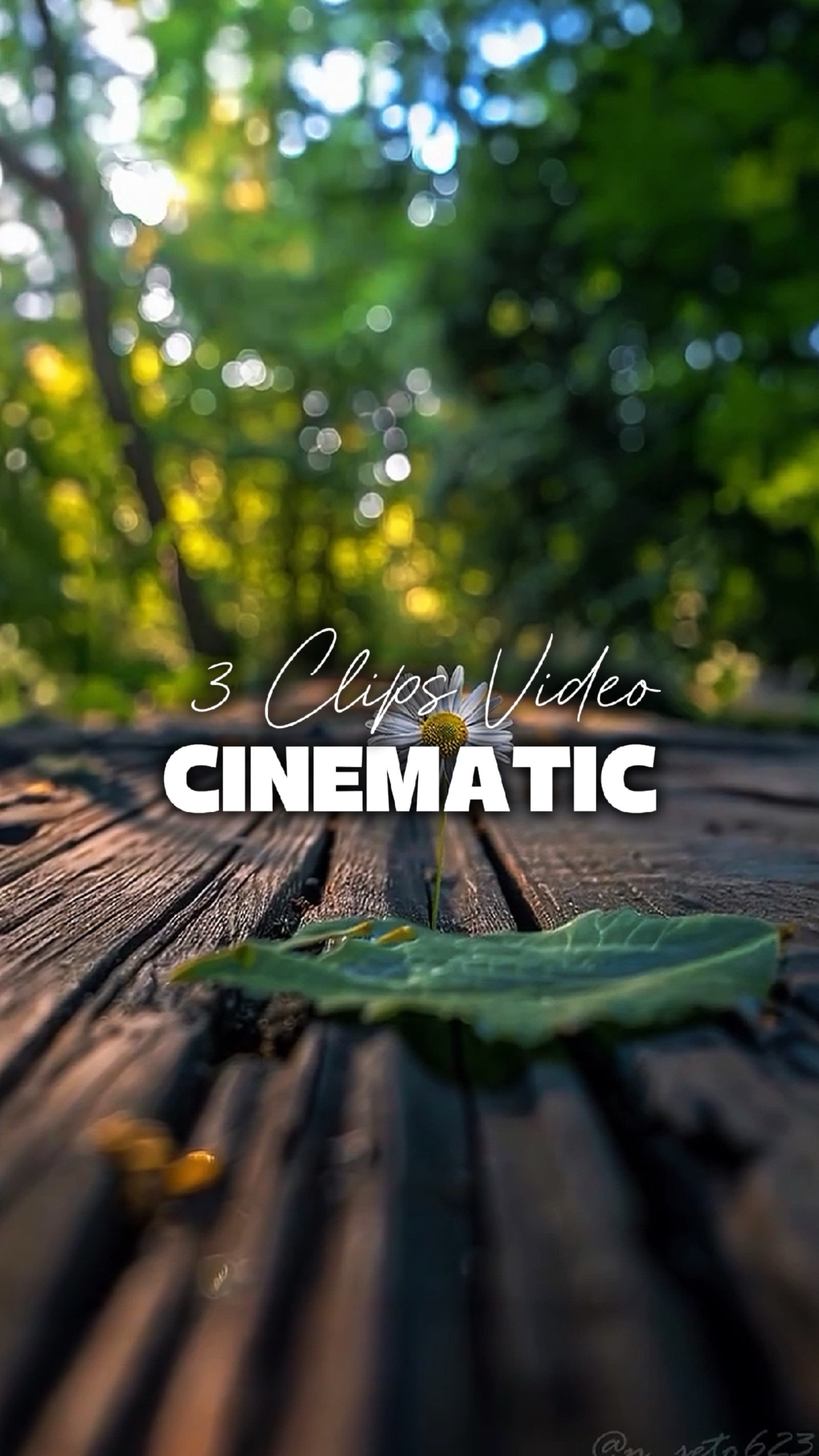3 Clips Cinematic 