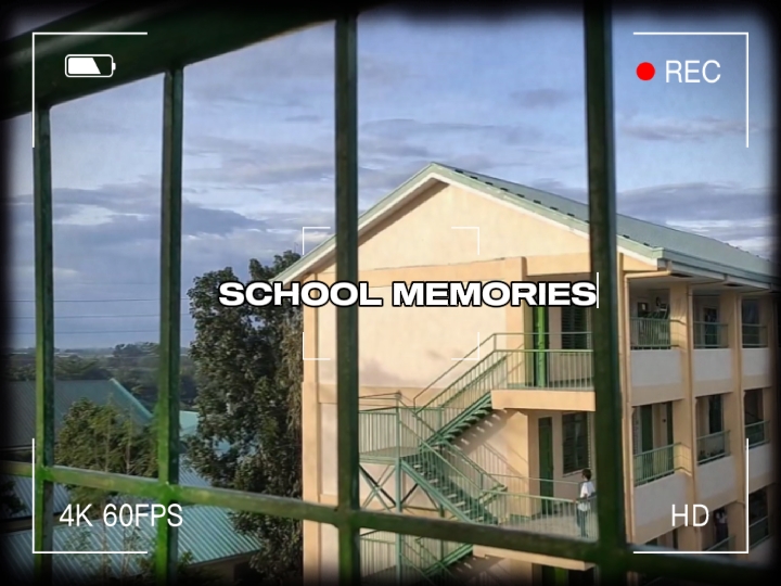 school memories 