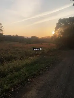 forests>>