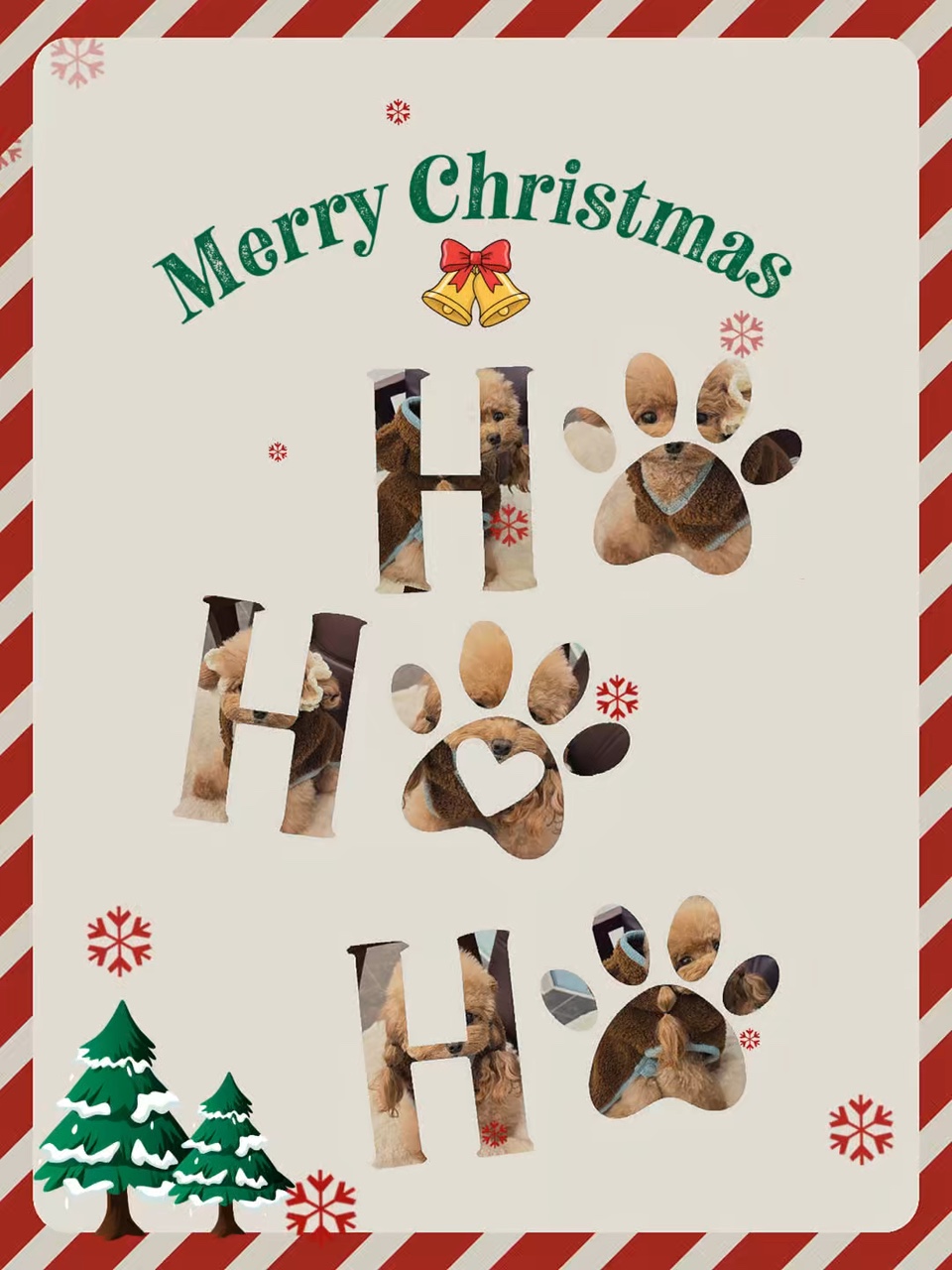 Pet Christmas 🎄