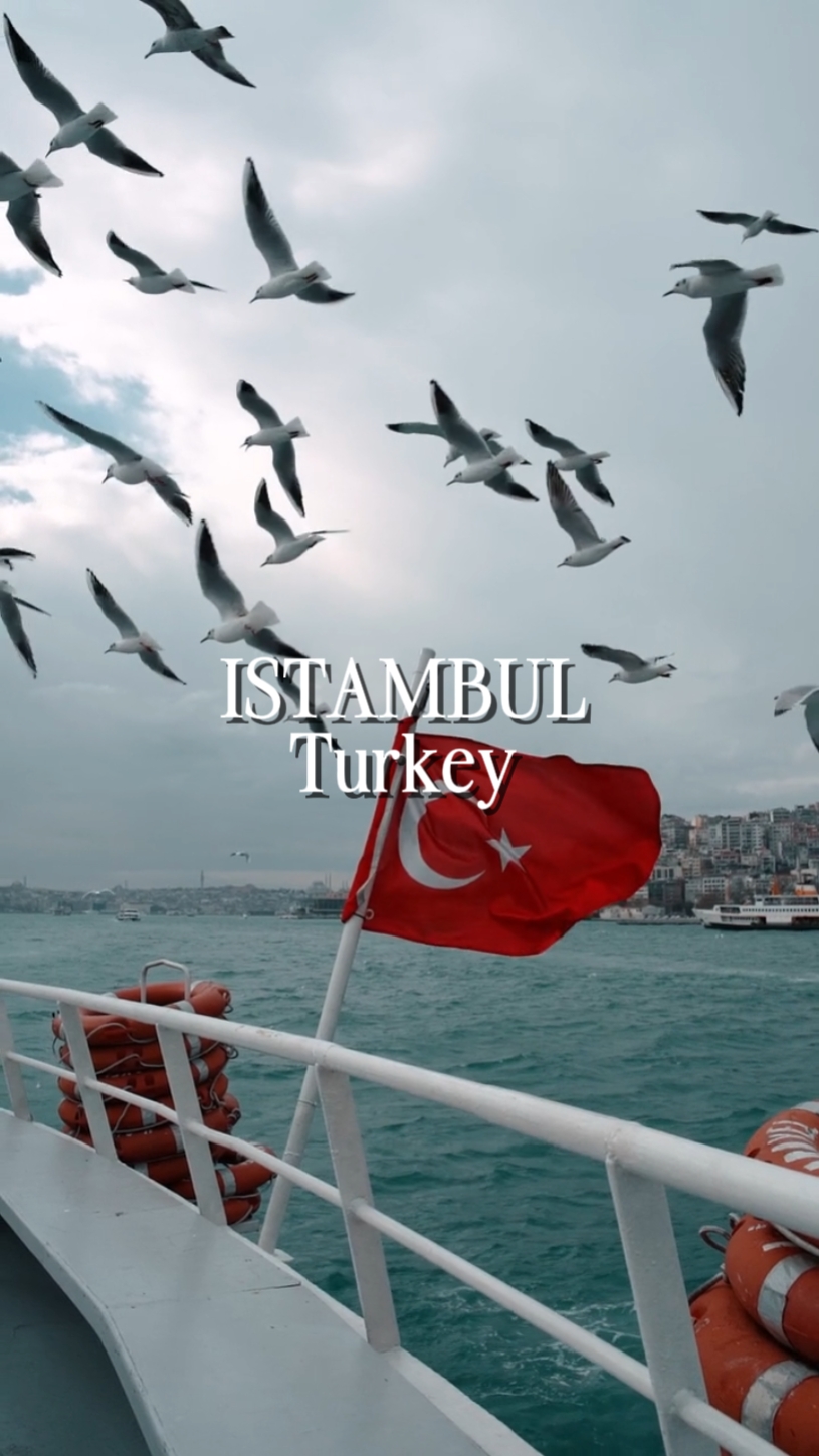 İSTAMBUL TÜRKİYE 