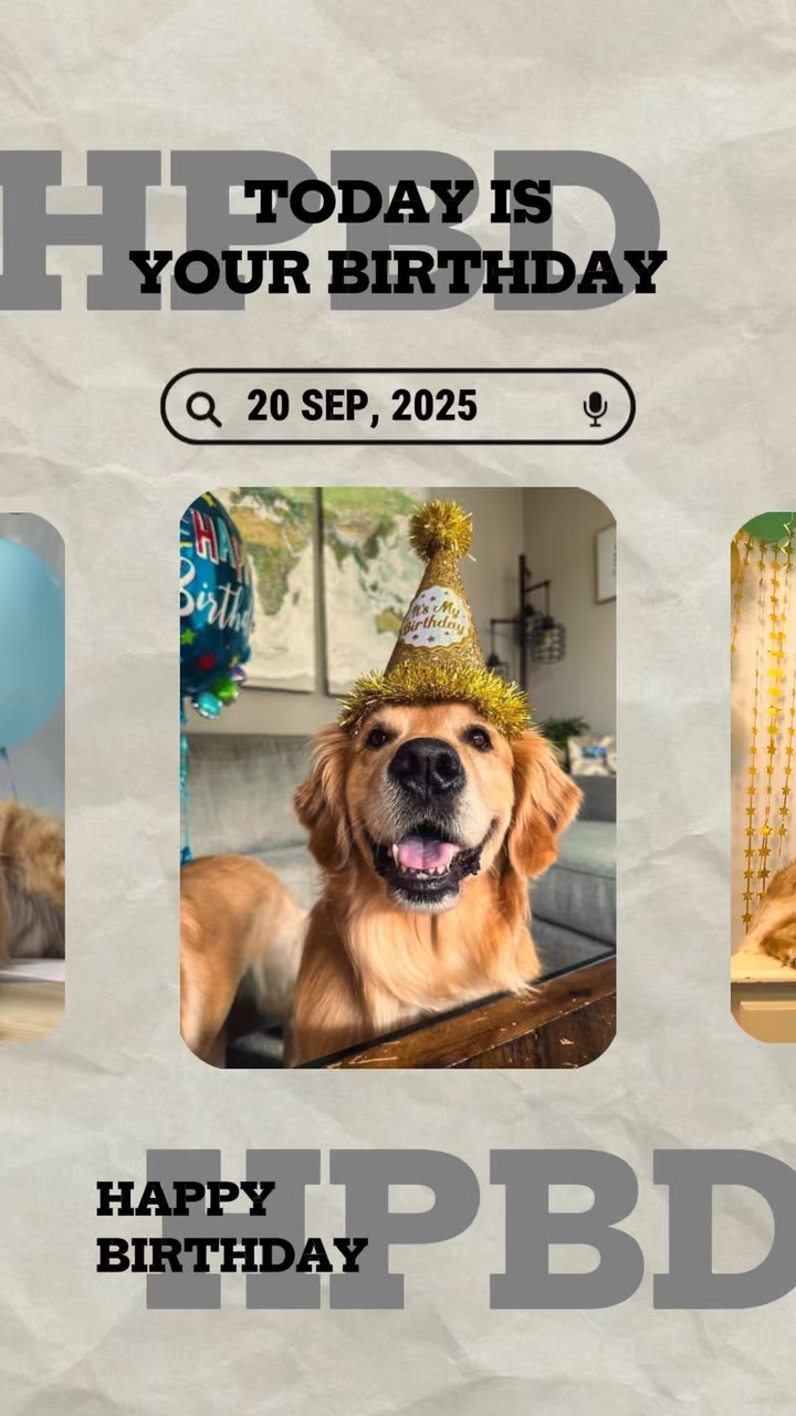 Geburtstag mein Hund