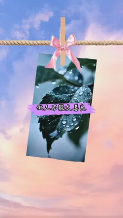 人生感悟
