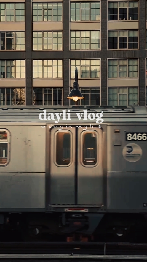 vlog mini 
