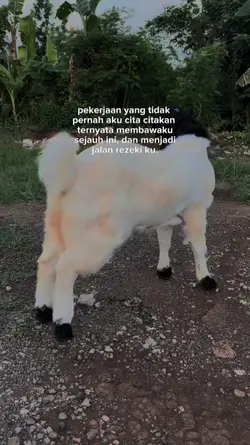 etawafarm